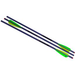 20"  2219 Aluminum Arrows ,3/PK